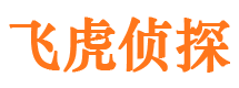 宁晋市侦探调查公司